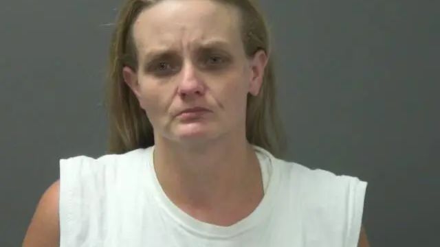 A Fayetteville Woman is Accused of Torturing Dogs and Was Jailed on 24 Counts of Animal Cruelty