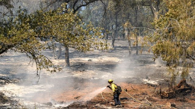 Record-Breaking Heat Wave to Scorch U.S. West Coast Temperatures Soar, Fire Risks Rise